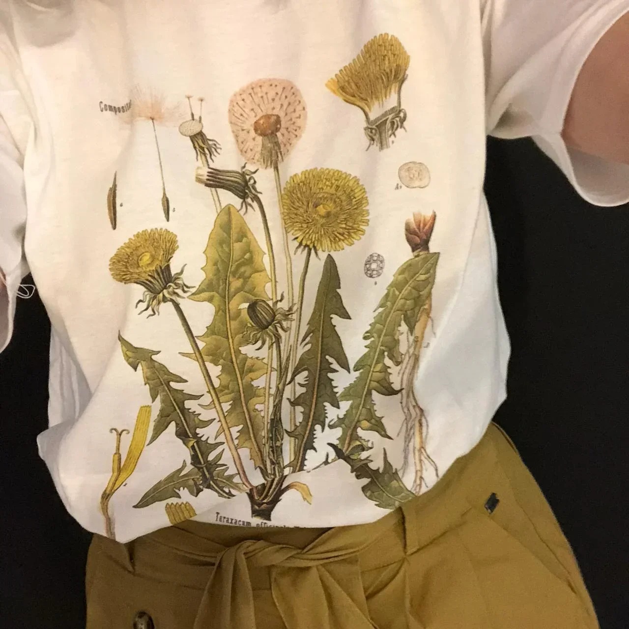Botanical Sketch T-Shirt
